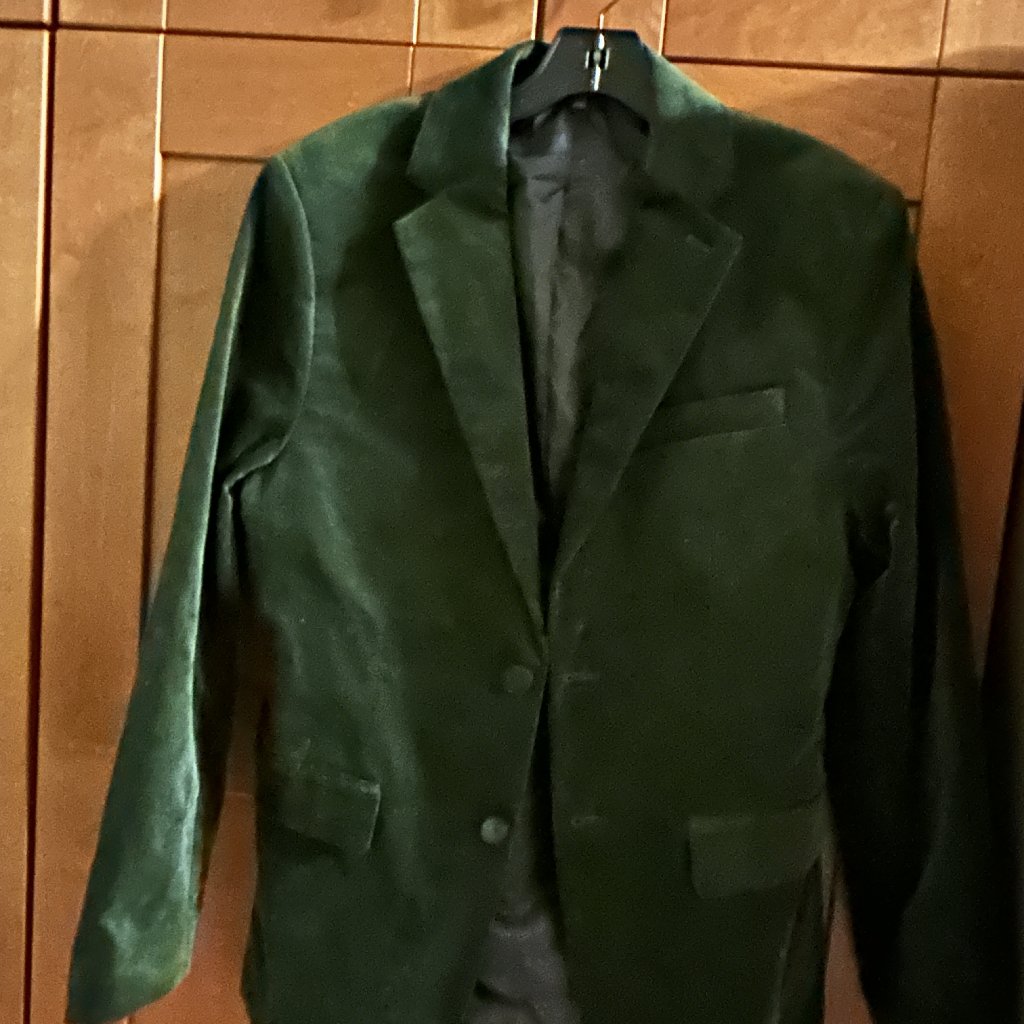Banana Republic Mens Velvet Green Blazer Sz 436r Two Button Lined Formal Jacket